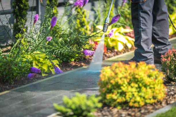 Best Spring Cleaning  in Bay Harbor Islands, FL