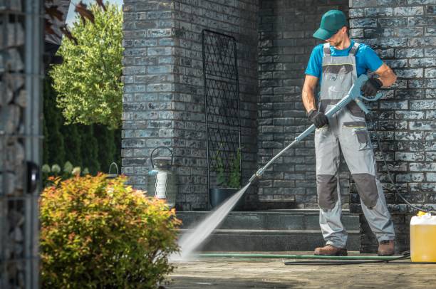 Animal Enclosure Cleaning in Bay Harbor Islands, FL